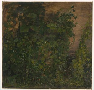 Dessin, Végétation de la jungle, 1865