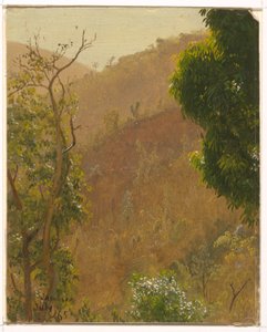 Dessin, paysage, juillet 1865 - Frederic Edwin Church