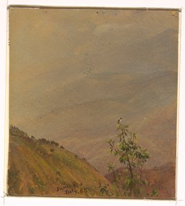 Dessin, paysage, juillet 1865 - Frederic Edwin Church