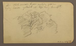 Dessin, paysage, maisons ; Verso : cime d