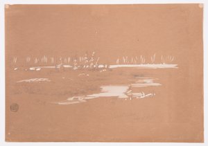 Dessin, paysage marécageux près de Millinocket, 20 septembre 1878 - Frederic Edwin Church
