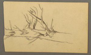 Dessin, section centrale d