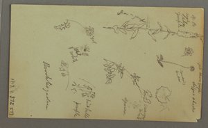 Dessin, étude de montagne, peut-être 1868 - Frederic Edwin Church
