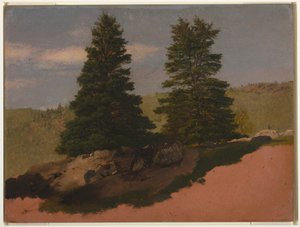 Dessin, paysage de Nouvelle-Angleterre (deux pins), 1850 - Frederic Edwin Church