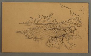 Dessin, pins, peut-être 1868 - Frederic Edwin Church