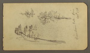 Dessin, études sur le pin, 1878 - Frederic Edwin Church