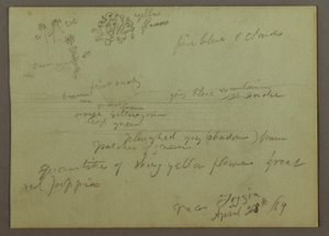 Dessin, étude de plantes et de paysages, 28 avril 1869