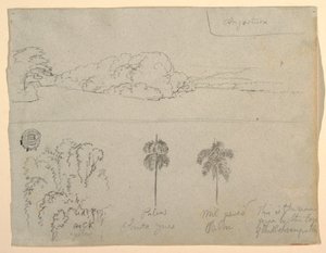 Dessin, Croquis de Colombie :  Rives d