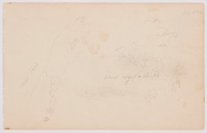 Dessin, Esquisses de nuages et de bouleau mort, juillet 1844 - Frederic Edwin Church