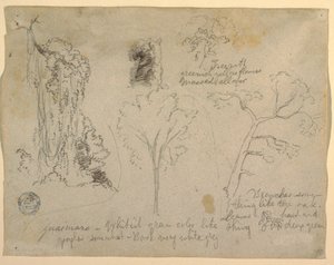 Dessin, Études d