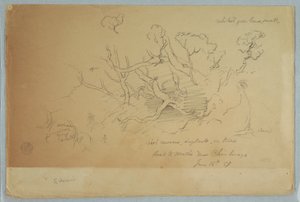 Dessin, Études d