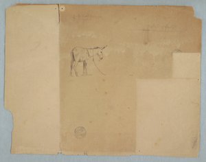 Dessin, âne attaché et style de clôture, Amérique du Sud, 1853 - Frederic Edwin Church