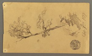 Dessin, arbre, 1877 - Frederic Edwin Church