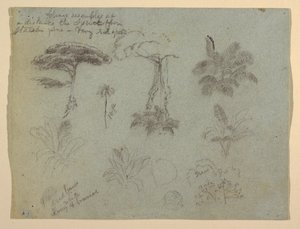 Dessin, Études d