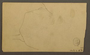Dessin, racines d