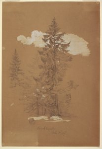 Dessin, arbres, Berchtesgaden, Bavière, 3 juillet 1868