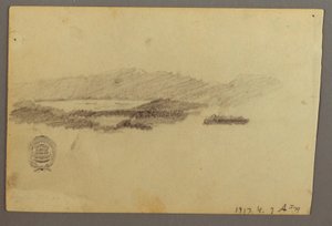 Dessin, Arbres, juillet 1844 - Frederic Edwin Church