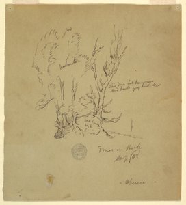 Dessin, Arbres Obersee dans les Alpes bavaroises ou méridionales, septembre 1868 - Frederic Edwin Church