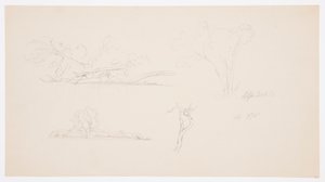 Dessin, Arbres, un rivage avec des buissons et des arbres, septembre 1876 - Frederic Edwin Church