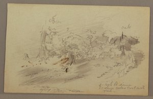 Dessin, arbres, peut-être années 1860 - Frederic Edwin Church