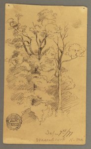 Dessin, Deux arbres, 1877 - Frederic Edwin Church