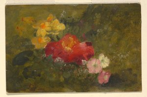 Dessin, fleurs sauvages, Jamaïque, 1865 - Frederic Edwin Church