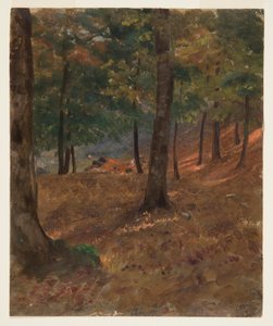 Dessin, scène de forêt, 1870-80 - Frederic Edwin Church