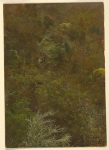 Colline avec arbres, Jamaïque - Frederic Edwin Church