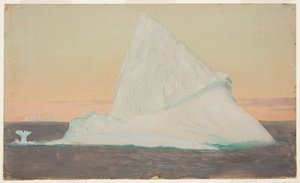 Iceberg et fleur de glace
