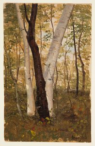 Dans les bois, Hudson, New York - Frederic Edwin Church