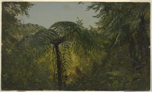 Feuillage de Jungle, Jamaïque - Frederic Edwin Church