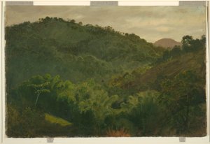 Paysage de la Jamaïque - Frederic Edwin Church