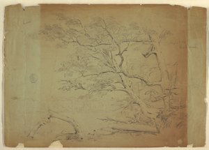 Paysage avec arbres et ruisseau [?], Île Grand Manan, Canada - Frederic Edwin Church