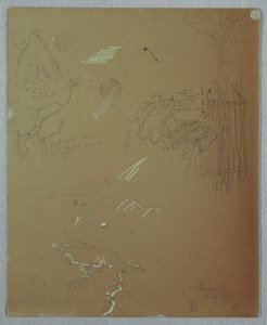Études de la nature, Blue Mountains, Jamaïque