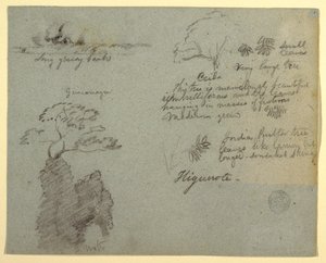 Rive et croquis botaniques de Higuerote, Équateur - Frederic Edwin Church