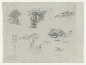 Croquis d