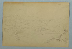 Croquis de plantes et d