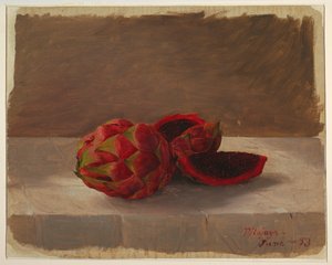 Le fruit Pitajaya, Colombie - Frederic Edwin Church