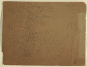 Arbres, Île Grand Manan, Canada - Frederic Edwin Church