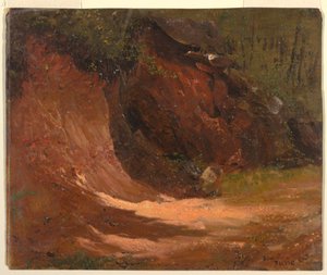 Bord de forêt, Jamaïque