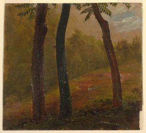 Scène boisée, Jamaïque - Frederic Edwin Church
