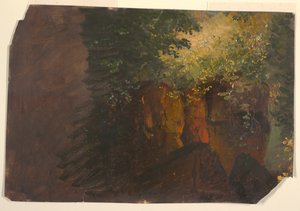 Scène boisée avec des rochers