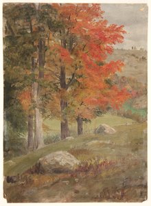 Bois en Automne