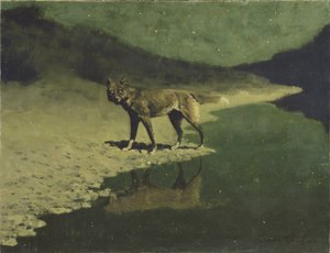Clair de lune, Loup, vers 1904 - Frederic Remington