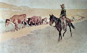 Conduite des Longhorns du Texas