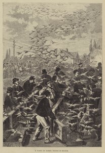 Un vol de pigeons voyageurs en Belgique - Frederic Theodore Lix