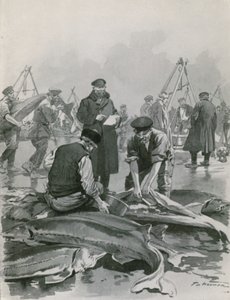 Obtenir du caviar à Astrakhan - Frederic de Haenen