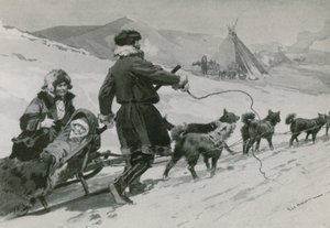 Samoyèdes - Frederic de Haenen