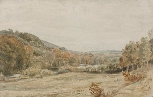 Rivière Tamar, près d