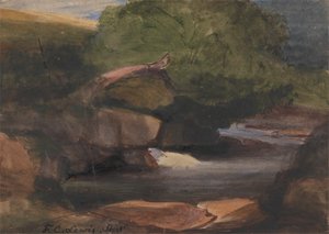Arbres et ruisseau rocheux